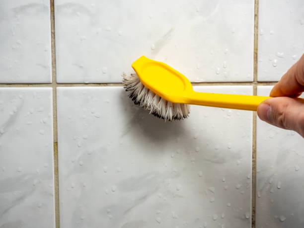 Best Residential Mold Remediation in Poway, CA